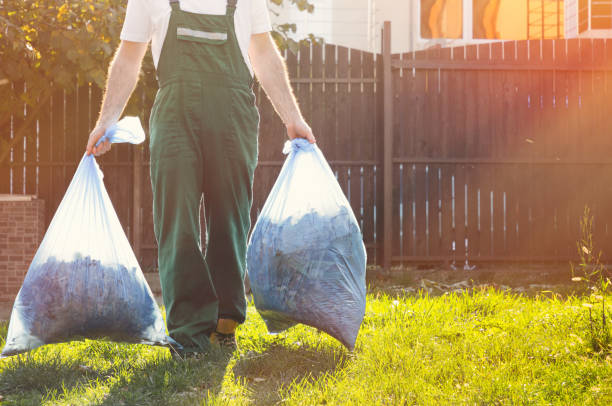 Best Electronics Removal Services  in Broadlands, VA